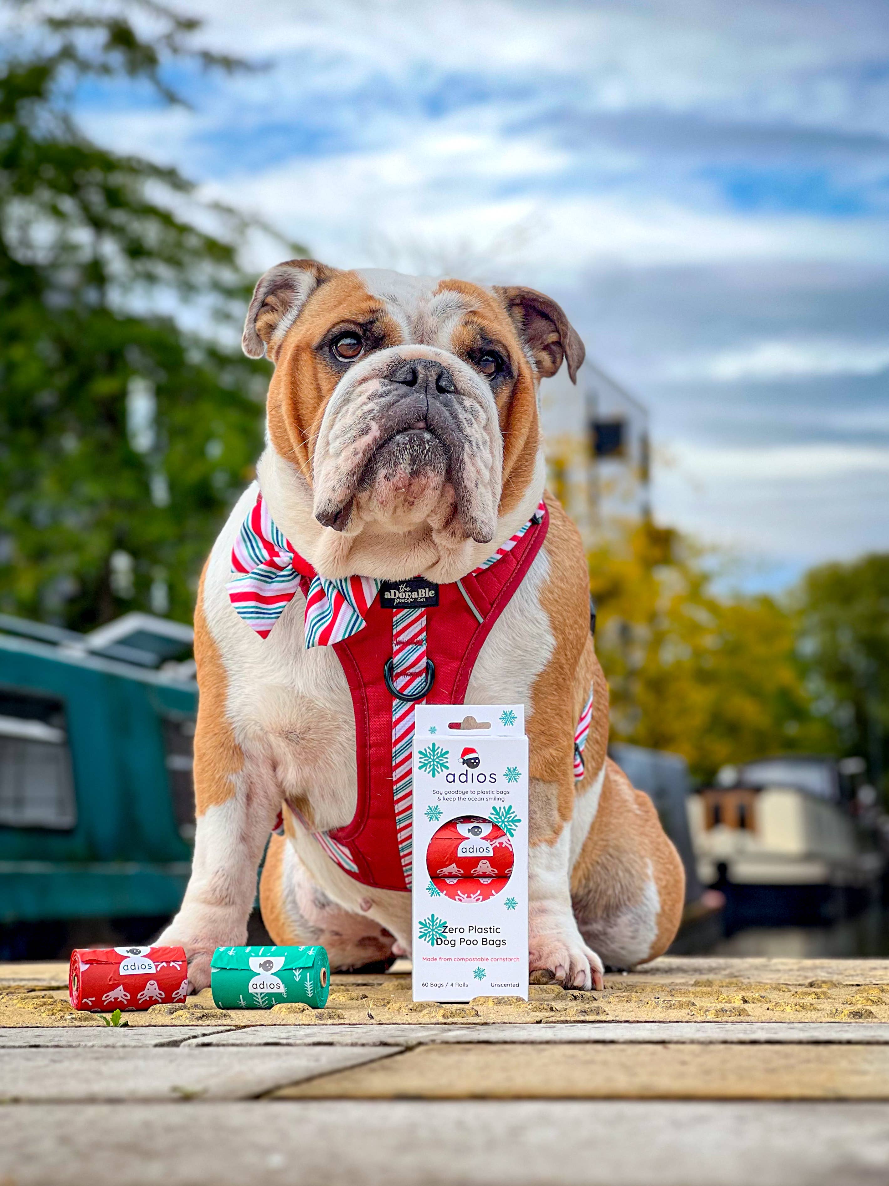 Adios Plastic - Wholesale Pet Poop Bag - Adios - Christmas Compostable Poo Bags (Limited Stock)2