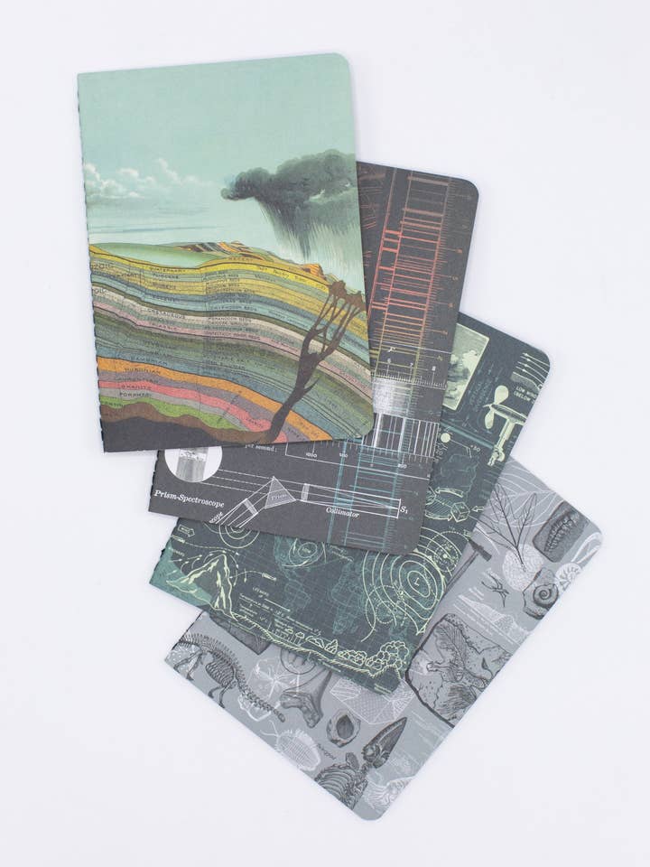 Natural History Pocket Notebooks 4-pack (Case of 6) for wholesale by Cognitive Surplus