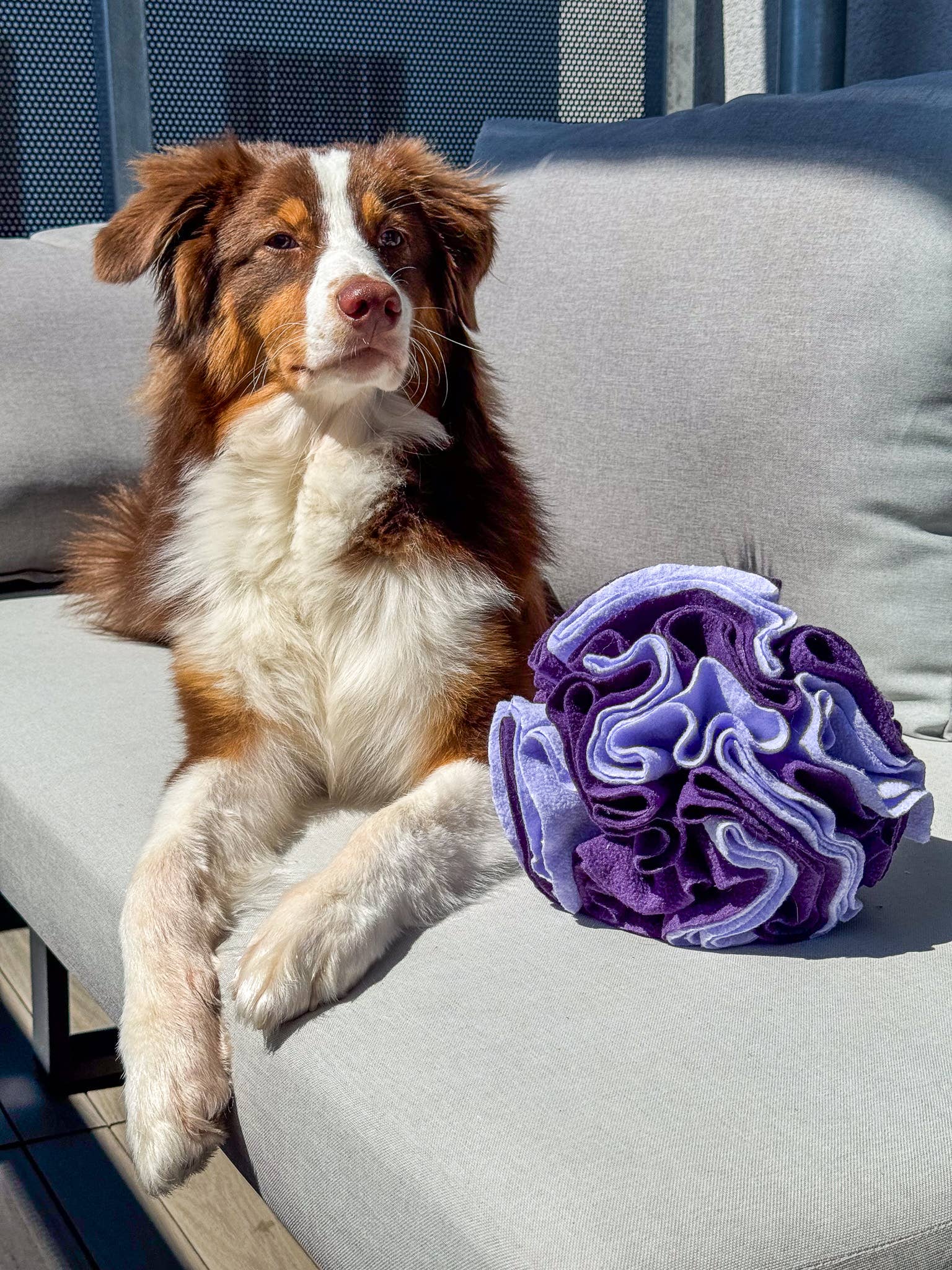 Doggotique - Wholesale Pet Squeaky Toy - Dog - Snuffle ball for dogs, snack toy dog, dog toy13