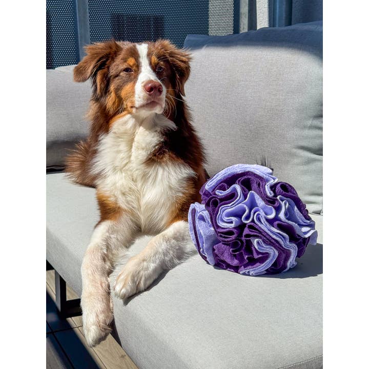 Doggotique - Wholesale Pet Squeaky Toy - Dog - Snuffle ball for dogs, snack toy dog, dog toy13