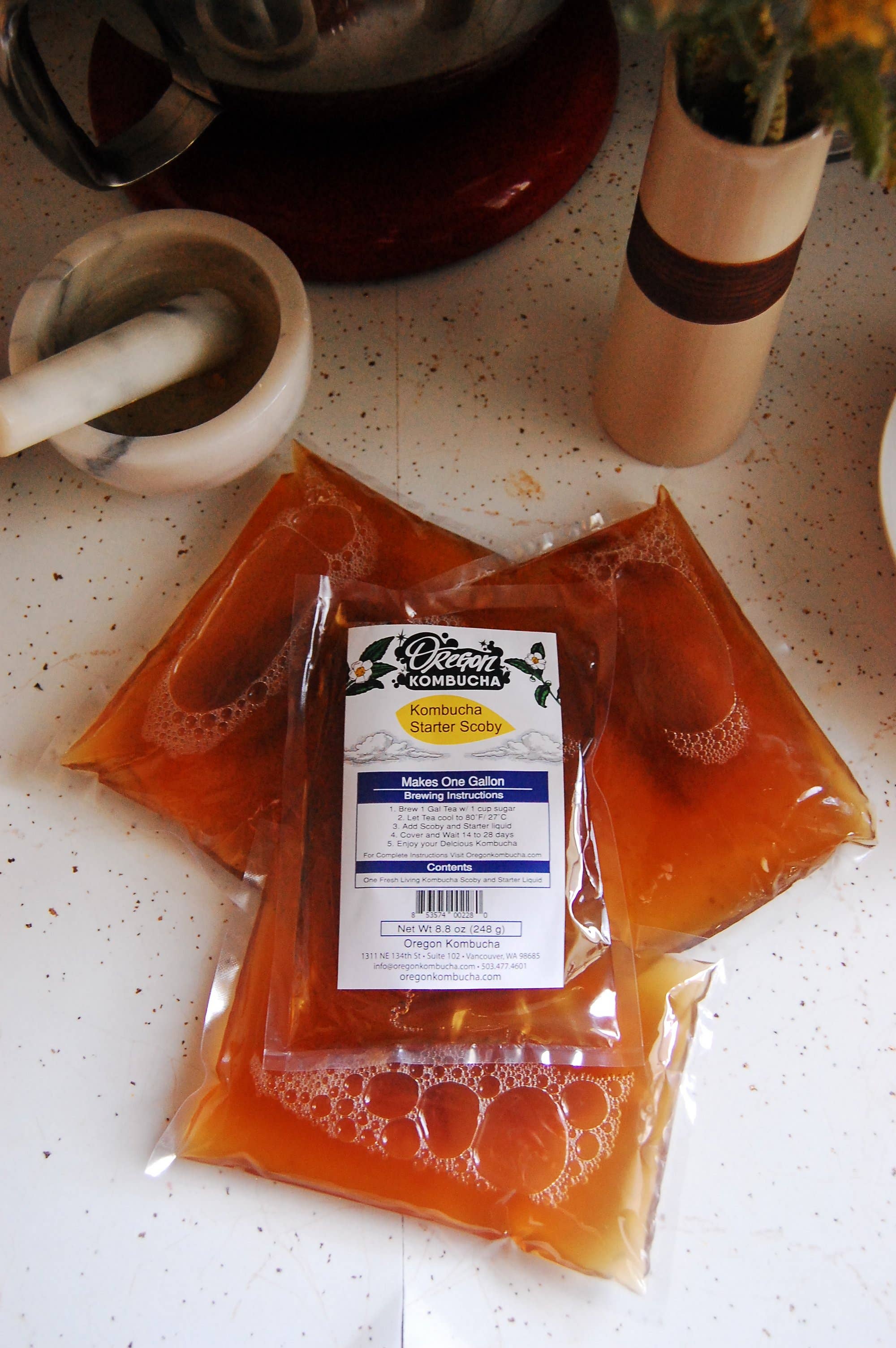 Oregon Kombucha - Wholesale Kombucha - Live Kombucha Culture - SCOBY and Starter Liquid, Guaranteed1
