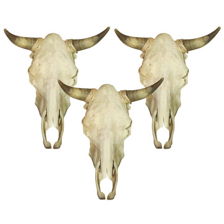 El Paso Saddleblanket - Wholesale Wall Accent - Genuine First Grade Plain Cow Skull