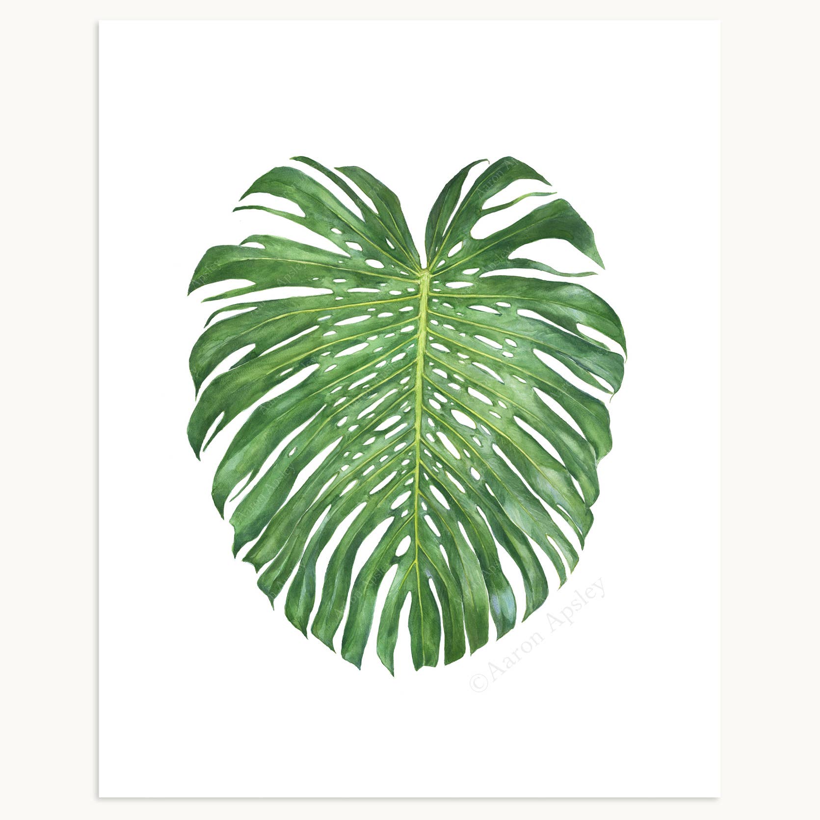 Aaron Apsley Artwork - Wholesale Art Print - Tropical Leaf Print - 8"x10"3