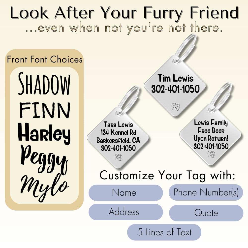 PawFurEver – Großhandel Haustiermarke – Katze/Hund – Personalisierte gravierte Hundemarken für Sicherheit und Stil von Haustieren (Diamant, Silber)4