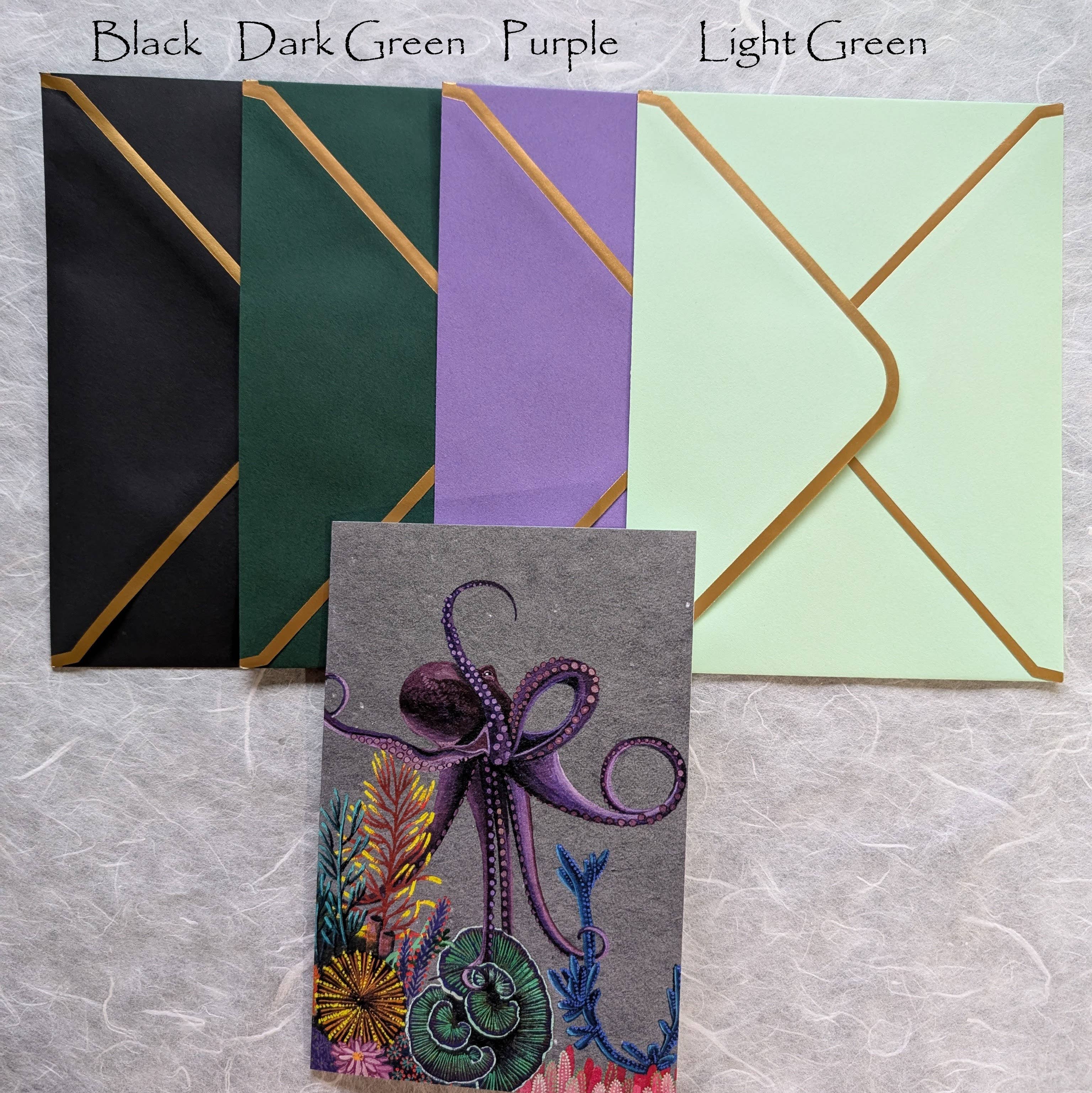 Mantis Shrimp Monocles - Wholesale Everyday Greeting Card - Octopus Greeting Card1