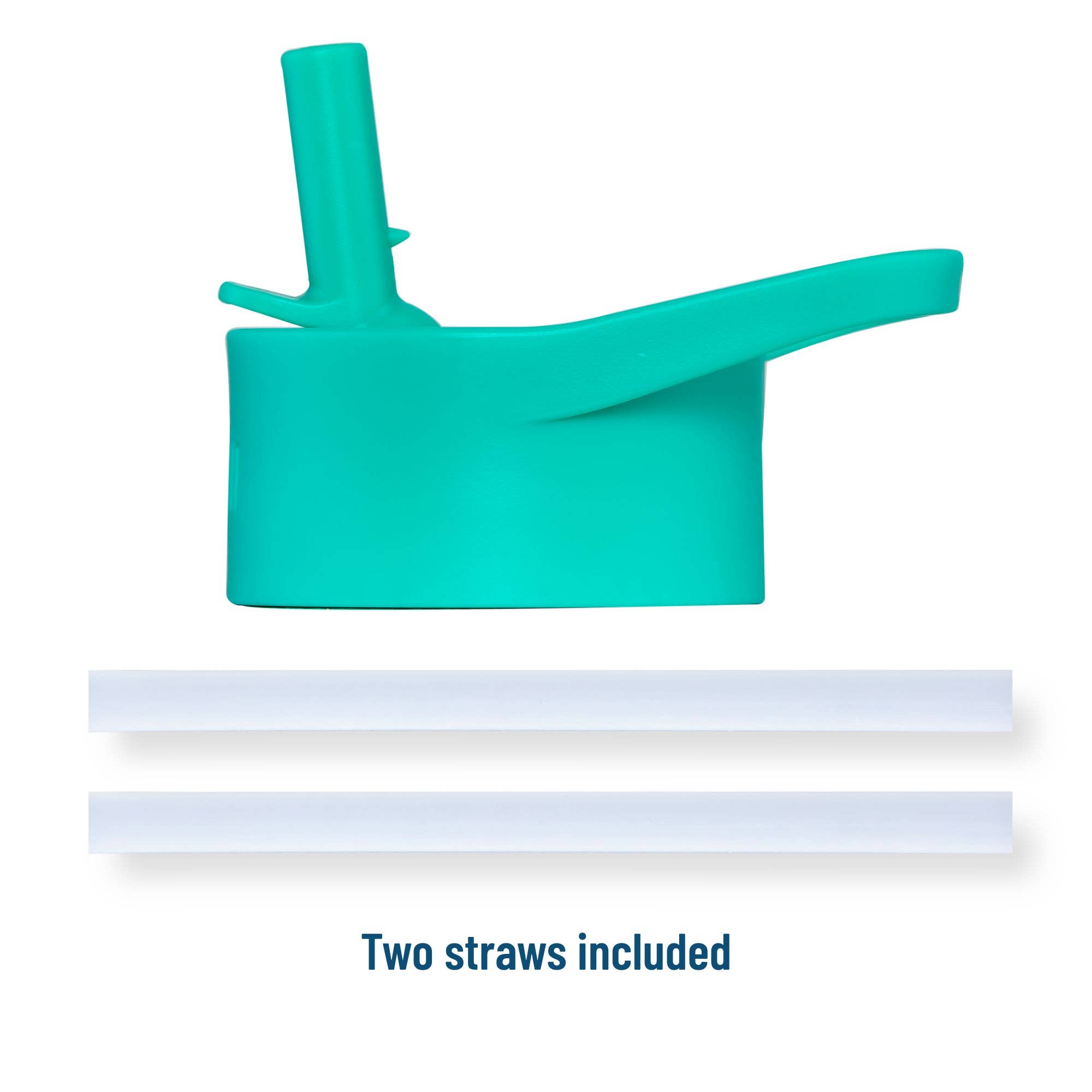 Wildkin - Wholesale Water Bottle - Jurassic Dinosaurs 14 oz Stainless Steel Water Bottle3