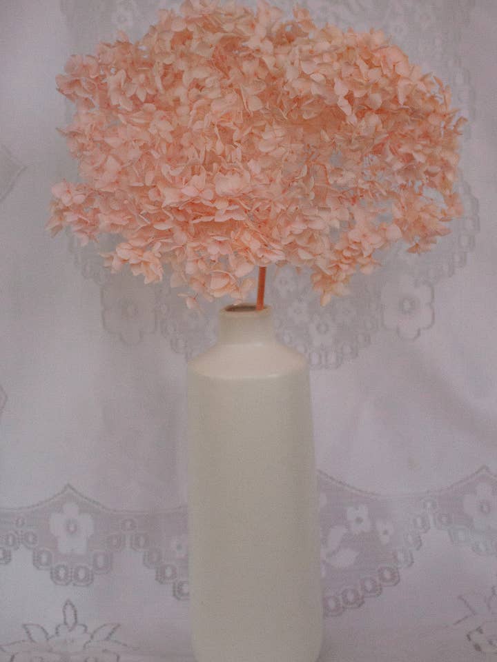 Preserved Hydrangea - Pink - Full-Bloomed for wholesale by You Floral