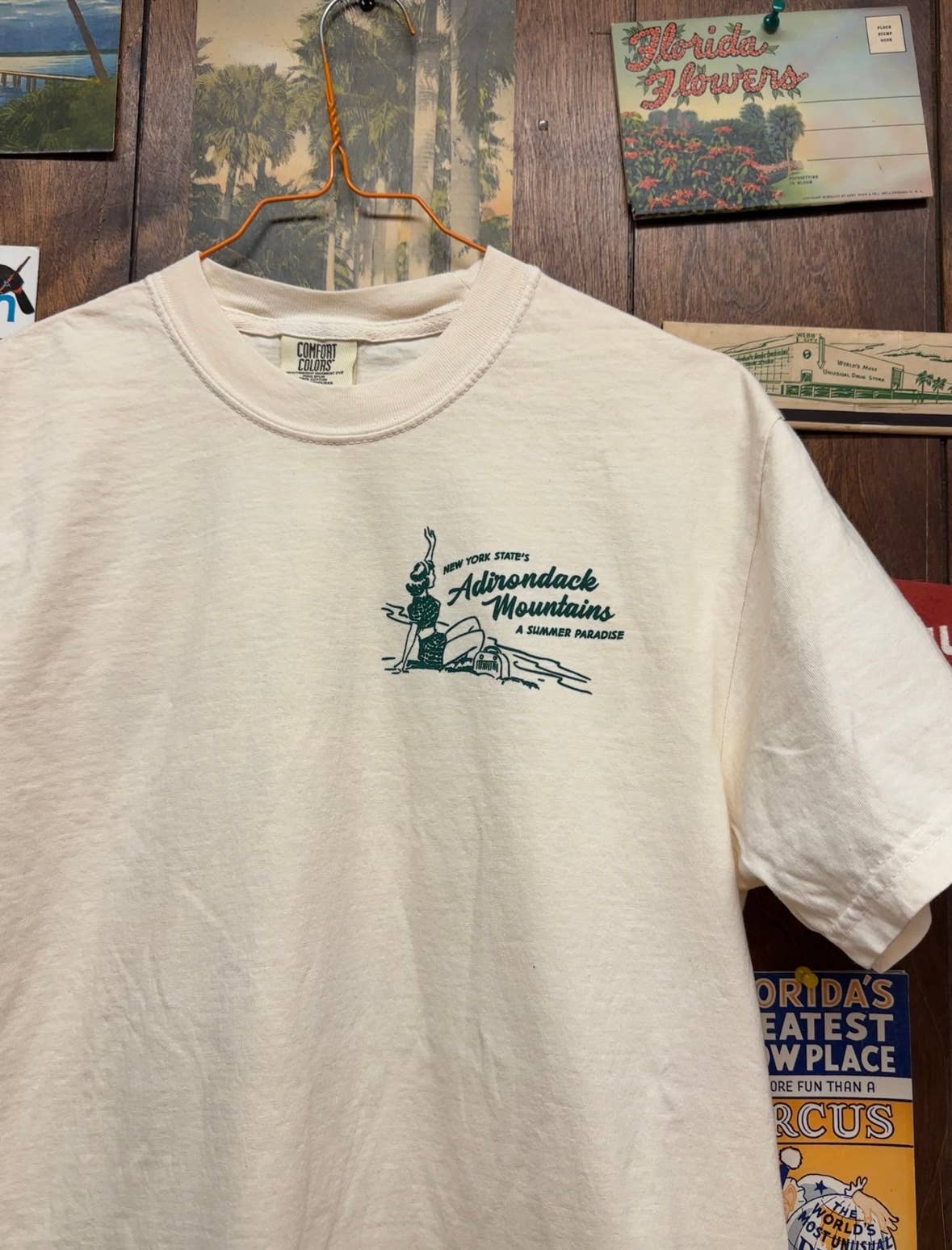 5801 Print House - Wholesale Screen Printed T-Shirt - Unisex - Adirondack Mountains Cabin T-Shirt1