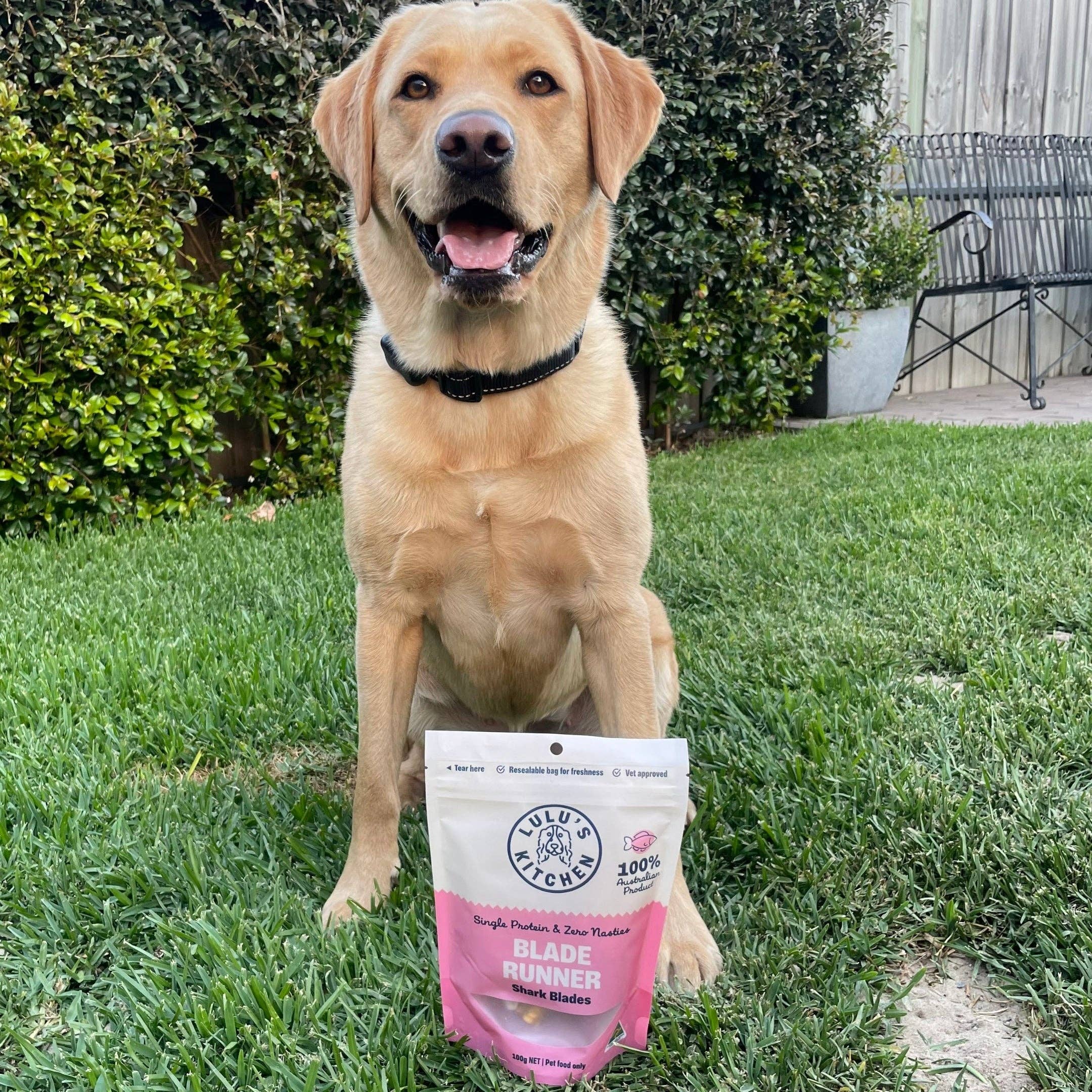 Rover Pet Products - Wholesale Pet Treats - Dog - Blade Runner - Shark Blade7