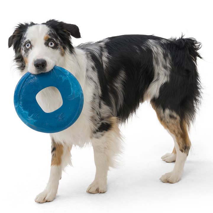 West Paw - Wholesale Pet Fetch Ball - Dog - Sailz® Dog Flying Disc Fetch Toy4