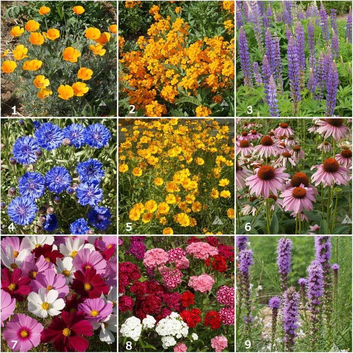 Potting Shed Creations, Ltd. - Wholesale Plant Seeds - Garden Sprinkles | Butterfly | Best Seller