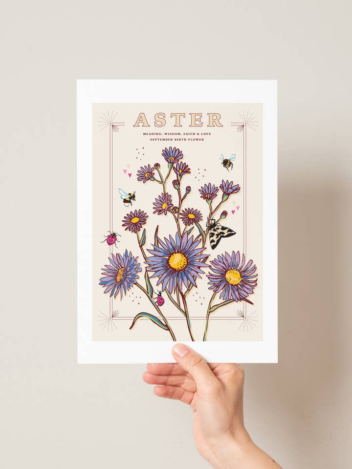 Aster September Birth Flower Wall Art Print A4 Unframed for wholesale by Angie Spurgeon Illustration and Design