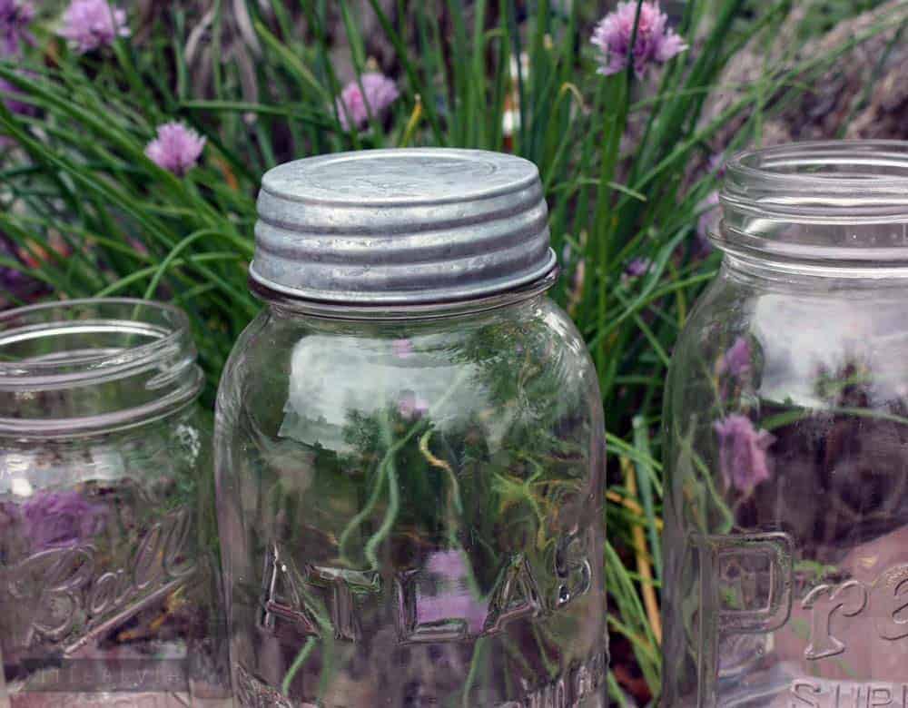 Mason Jar Lifestyle - Vente Pots - Lot de 4 couvercles pour bocaux Mason, reproduction vintage, galvanisés4