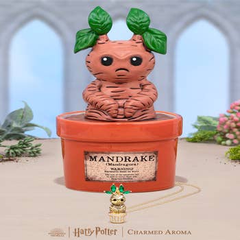 Mandragora Harry Potter - Plants & Seedlings, Facebook Marketplace