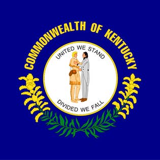 Kentucky 6 „x4" håndflag for engroshandel hos Worldwide Flags Ltd