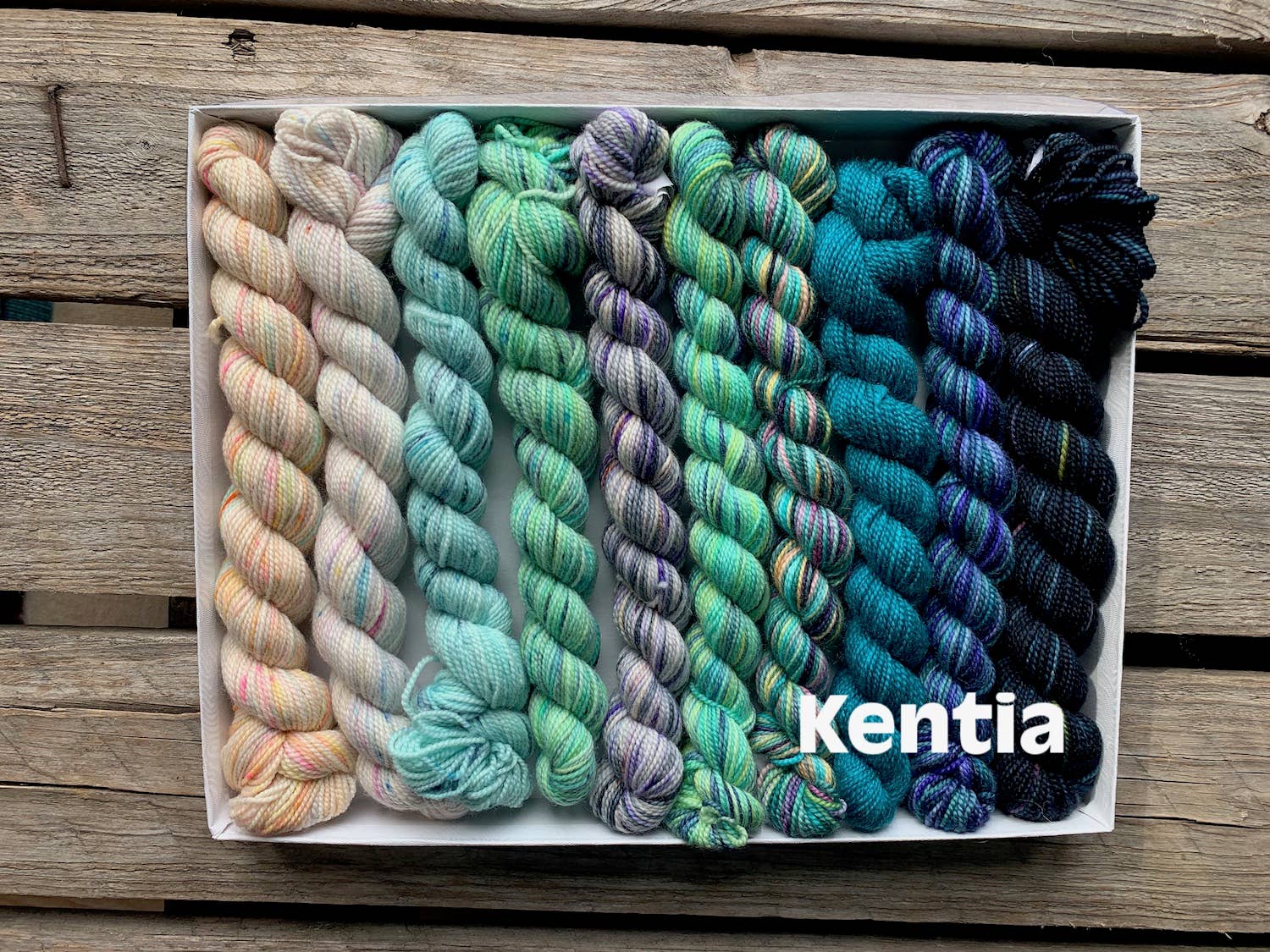 Koigu Wool Designs - Vente Fils à tricoter - Coffret de laine Koigu Pencil Box groupe 114