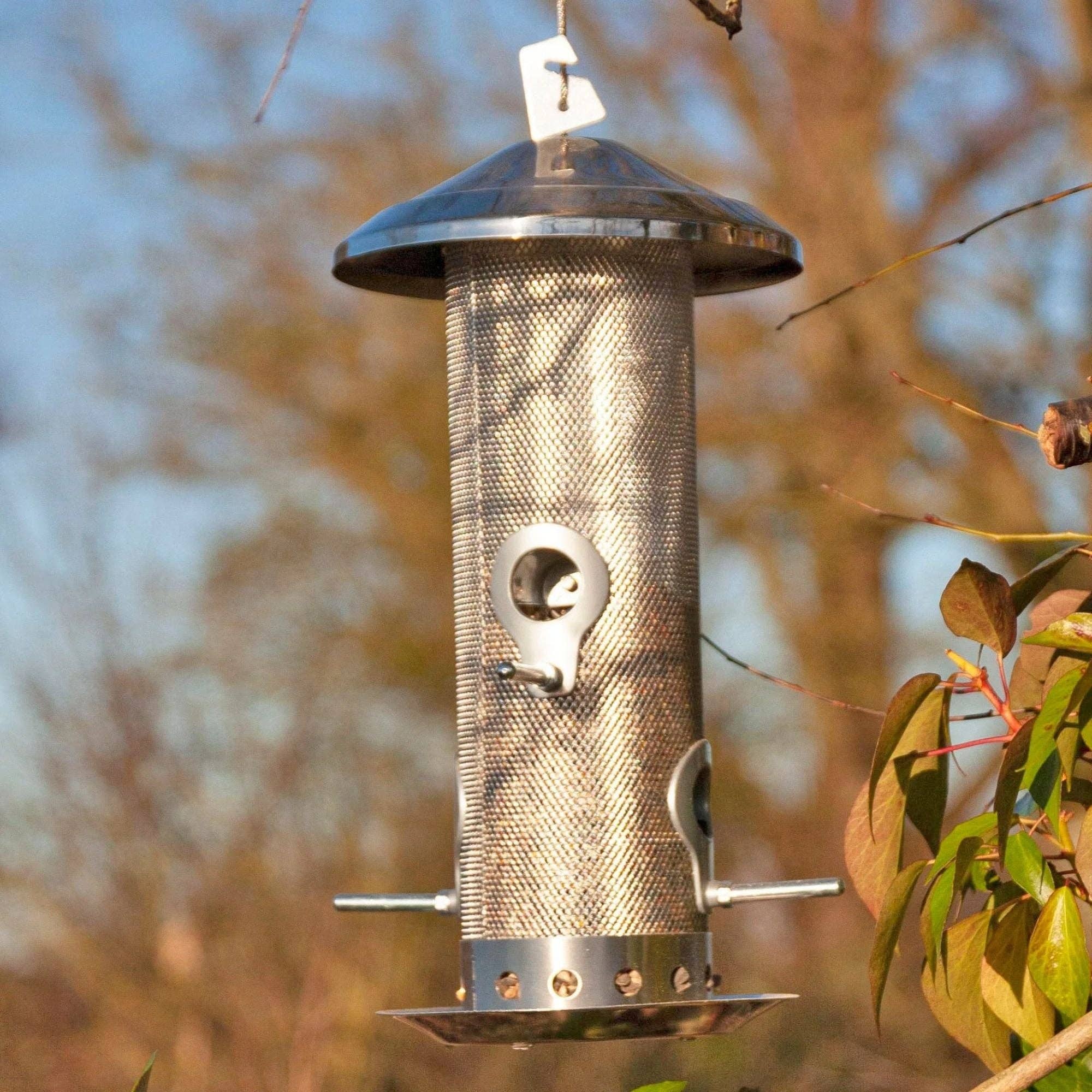 Green Feathers – wholesale Bird feeder – Small Stainless Steel Bird Feeder0