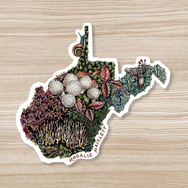 Rosalie Haizlett Illustration - Wholesale Sticker - West Virginia Forest Floor - Waterproof Vinyl Sticker0