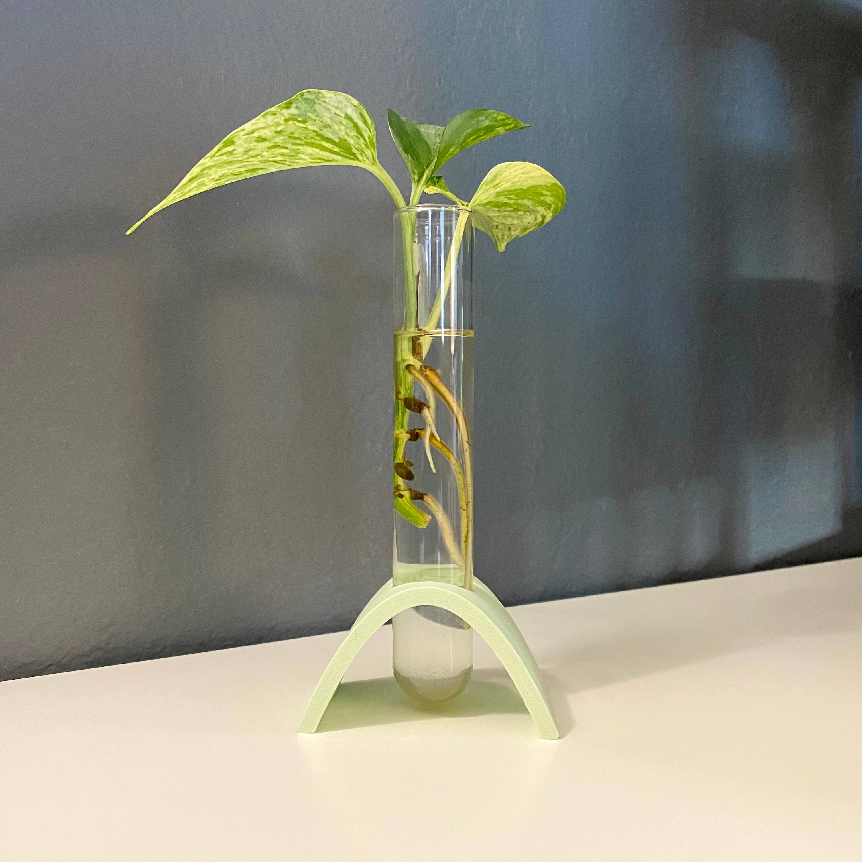 Plant Voyage - Venta al por mayor Macetas - Estación de propagación curva impresa en 3D, soporte de propagación4