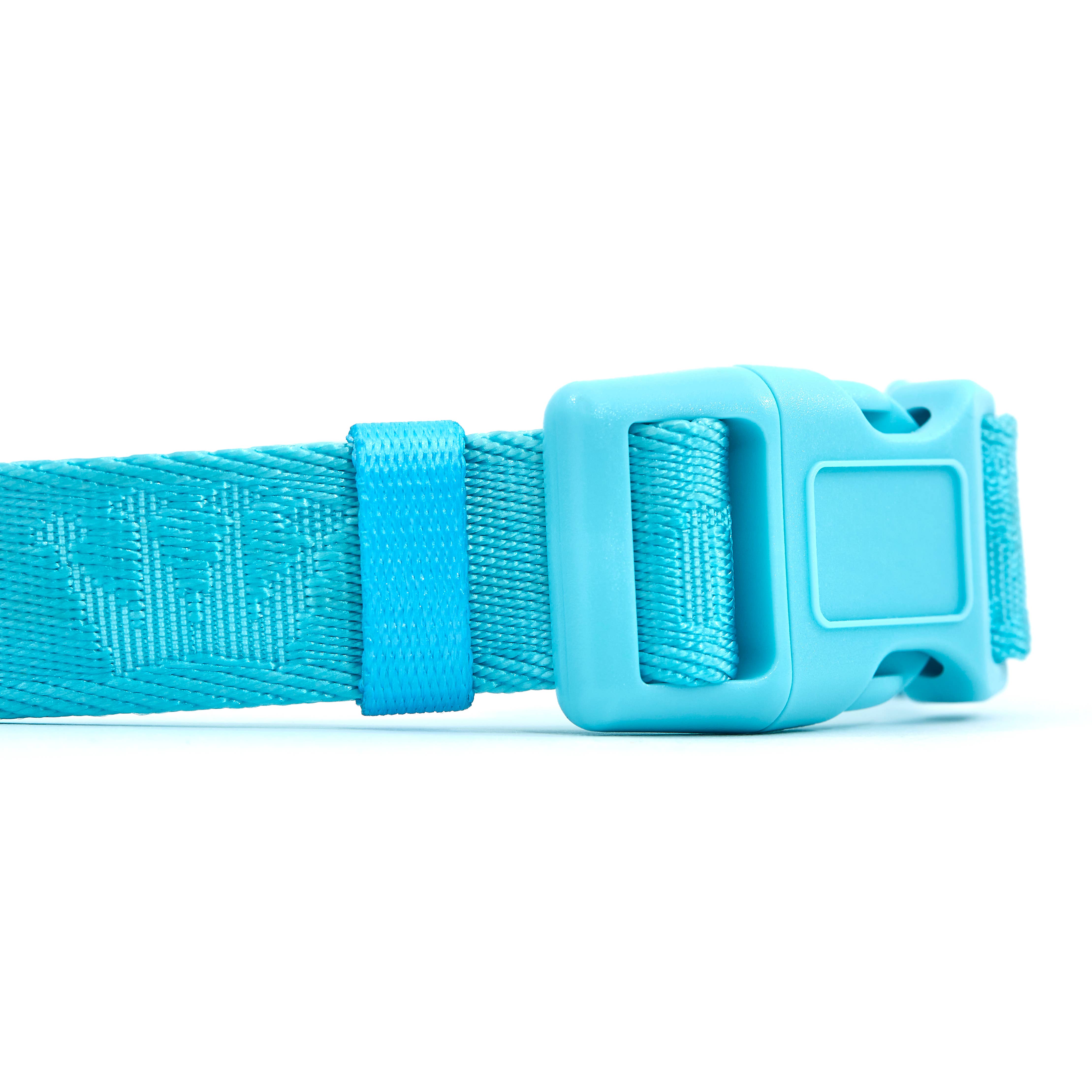 ARISTOPET - Wholesale Pet Collar - Dog - SIGNATURE COLLAR5