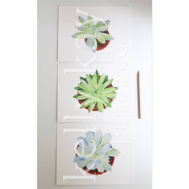 Kunstdruck | Sukkulenten-Set/3 für den Großhandel von Kelly Kay Paper Co.