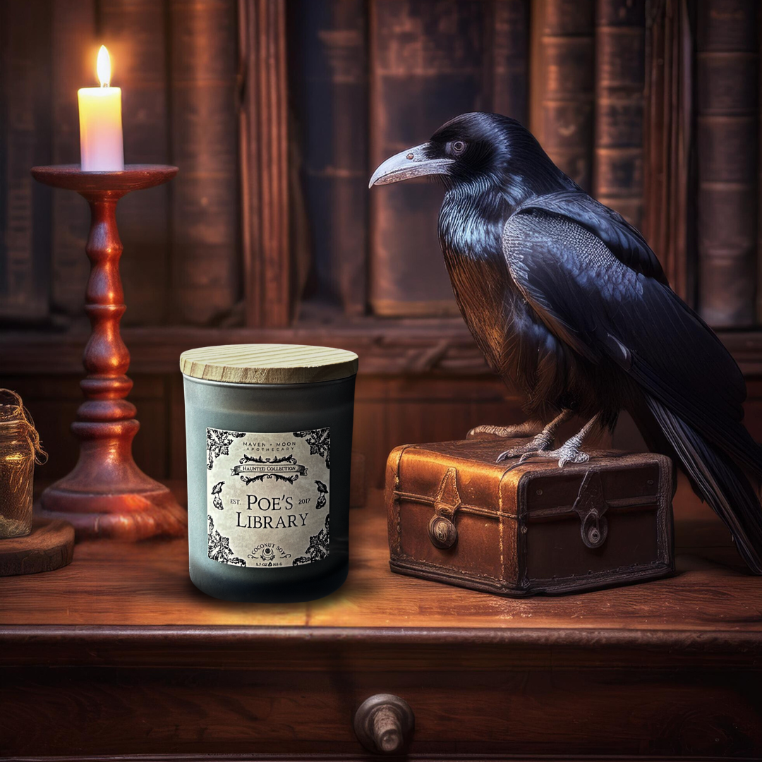 MAVEN + MOON – Vela em jarro/copo por atacado – Vela Poe's Library Coco Soja - 6 oz  0