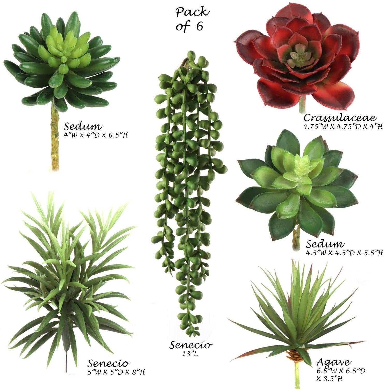Larksilk - Vendita all'ingrosso Pianta grassa - Assortimento di Succulente Artificiali - 6 Stili Realistici2