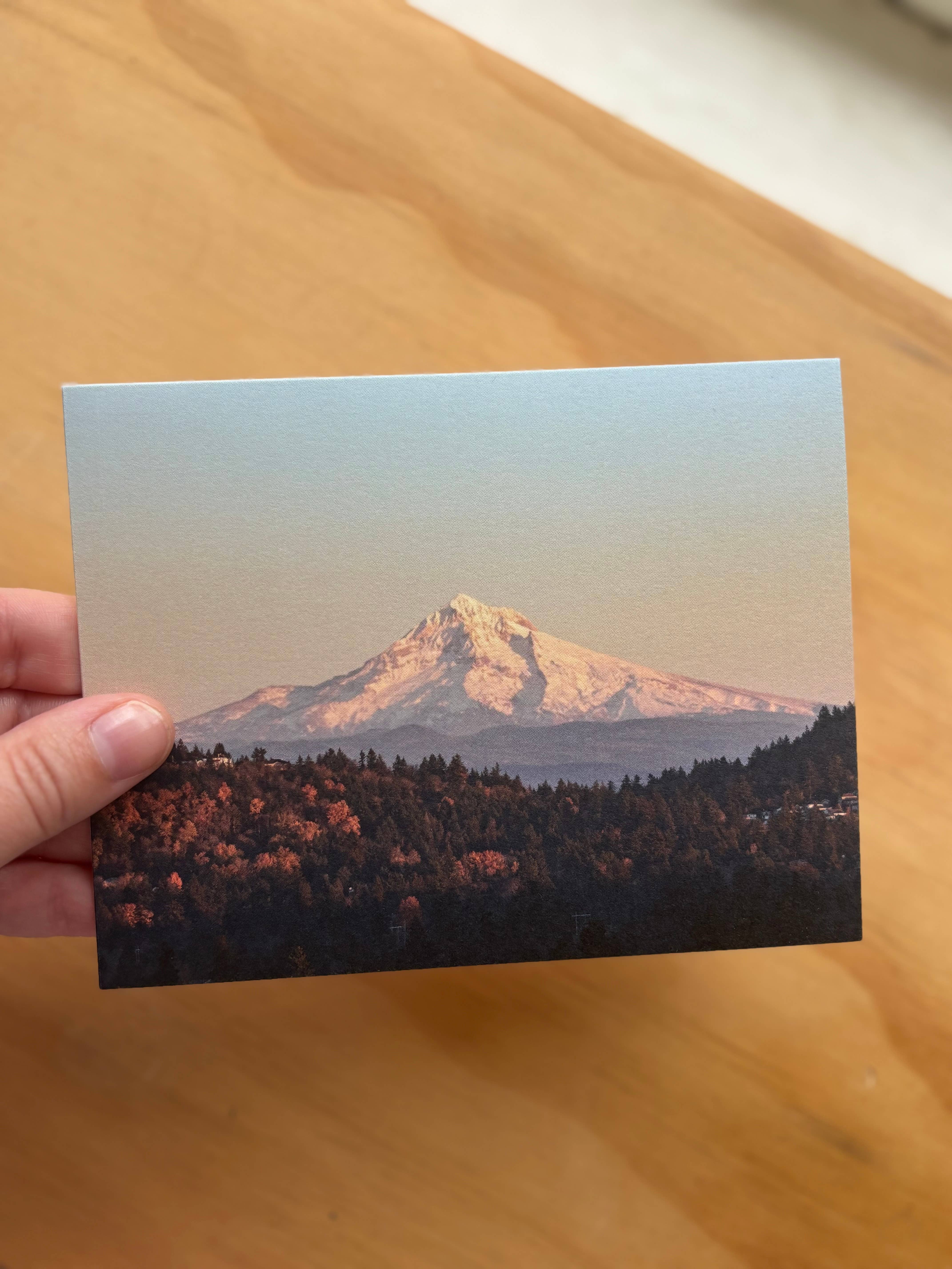 Andrea Morris Art - Wholesale Stationery/Notecard Set - Fall Card Variety Pack (5 Different Cards + Envelopes)5