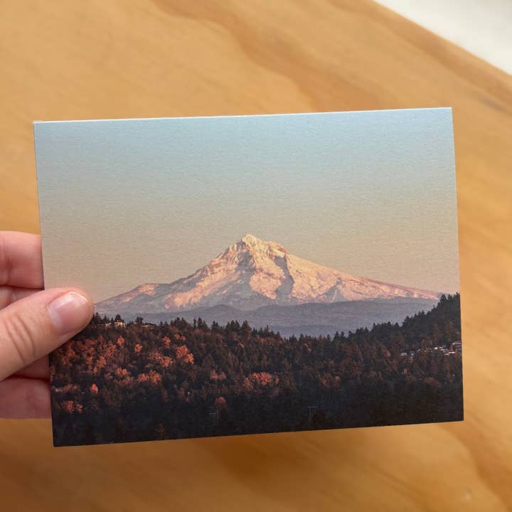 Andrea Morris Art - Wholesale Stationery/Notecard Set - Fall Card Variety Pack (5 Different Cards + Envelopes)5