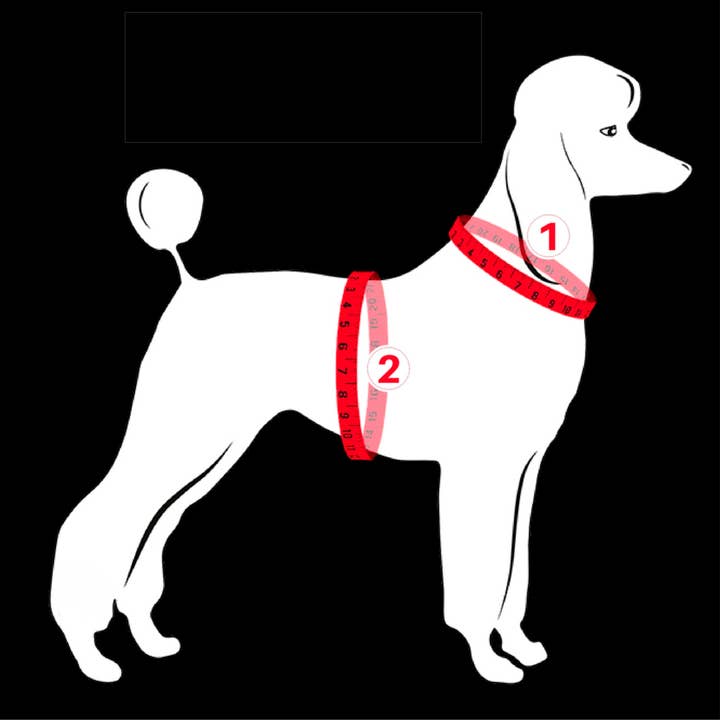 FINNERO - Wholesale Pet Vest - Dog - FINNERO ATTE Reflective Dog Attention Vest, 3 colors16