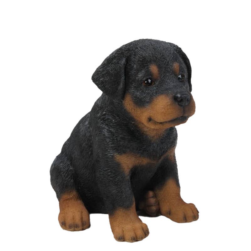 Hi-Line Gift Ltd. - Wholesale Outdoor Ornament/Decor - Pet Pals: Rottweiler Puppy Statue4