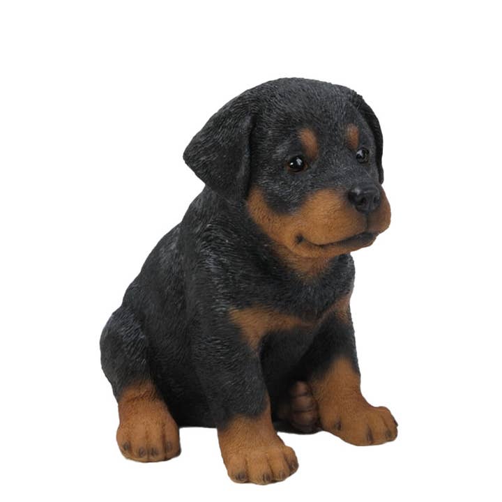 Hi-Line Gift Ltd. - Wholesale Outdoor Ornament/Decor - Pet Pals: Rottweiler Puppy Statue4