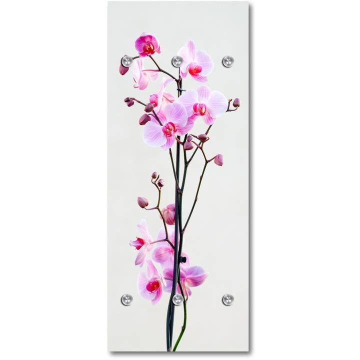 Armoire - Urte pour la vente par Queence