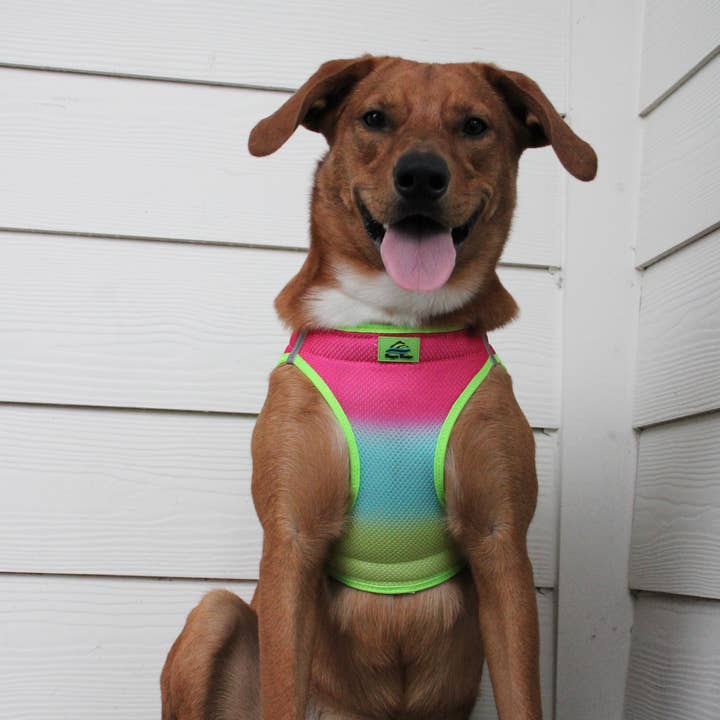 Doggie Design - Wholesale Pet Harness - Dog - American River Ombre Dog Harness - Rainbow