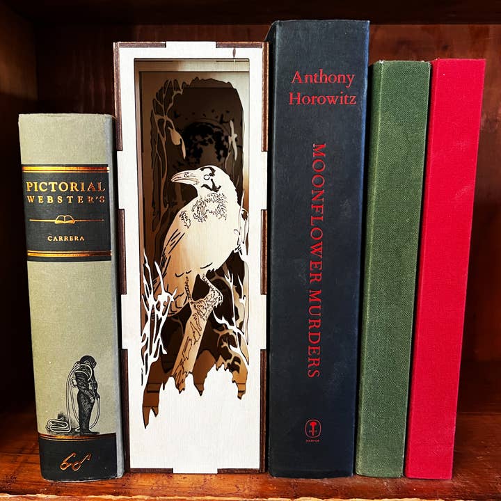 Squirrel Tacos Papercuts - Wholesale Bookend - Book Nook Lighting - Raven