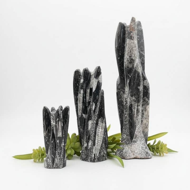 Orthoceras Fossiltorn Skulptur (1 Stycke) för wholesale av Crystal River Gems LLC