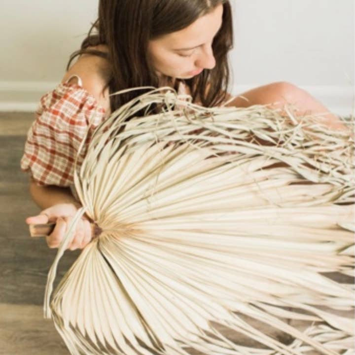 The Blooming Palm - Wholesale Retailer sample – Home decor - 3ft. JUMBO Sun-Dried Wild Untouched Palm Leaf Wispy Frond16