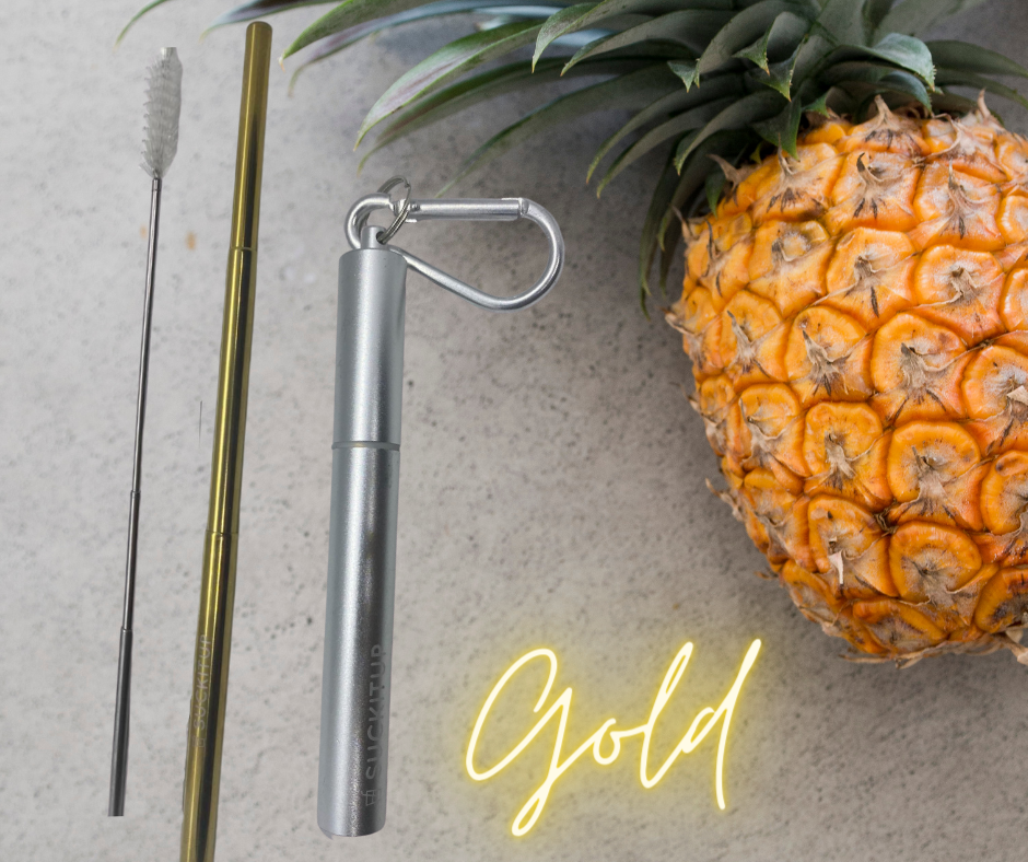 Suck It Up Straws - Vente Paille - Pailles métalliques télescopiques avec étui pour porte-clés et brosse de nettoyage40