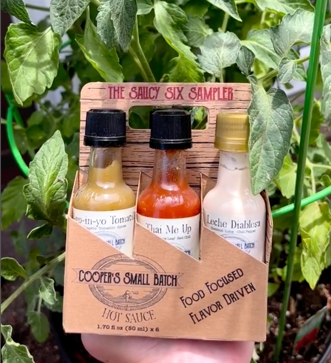Cooper's Small Batch Hot Sauce – Molho picante por atacado – Amostrador Sauxy Six2