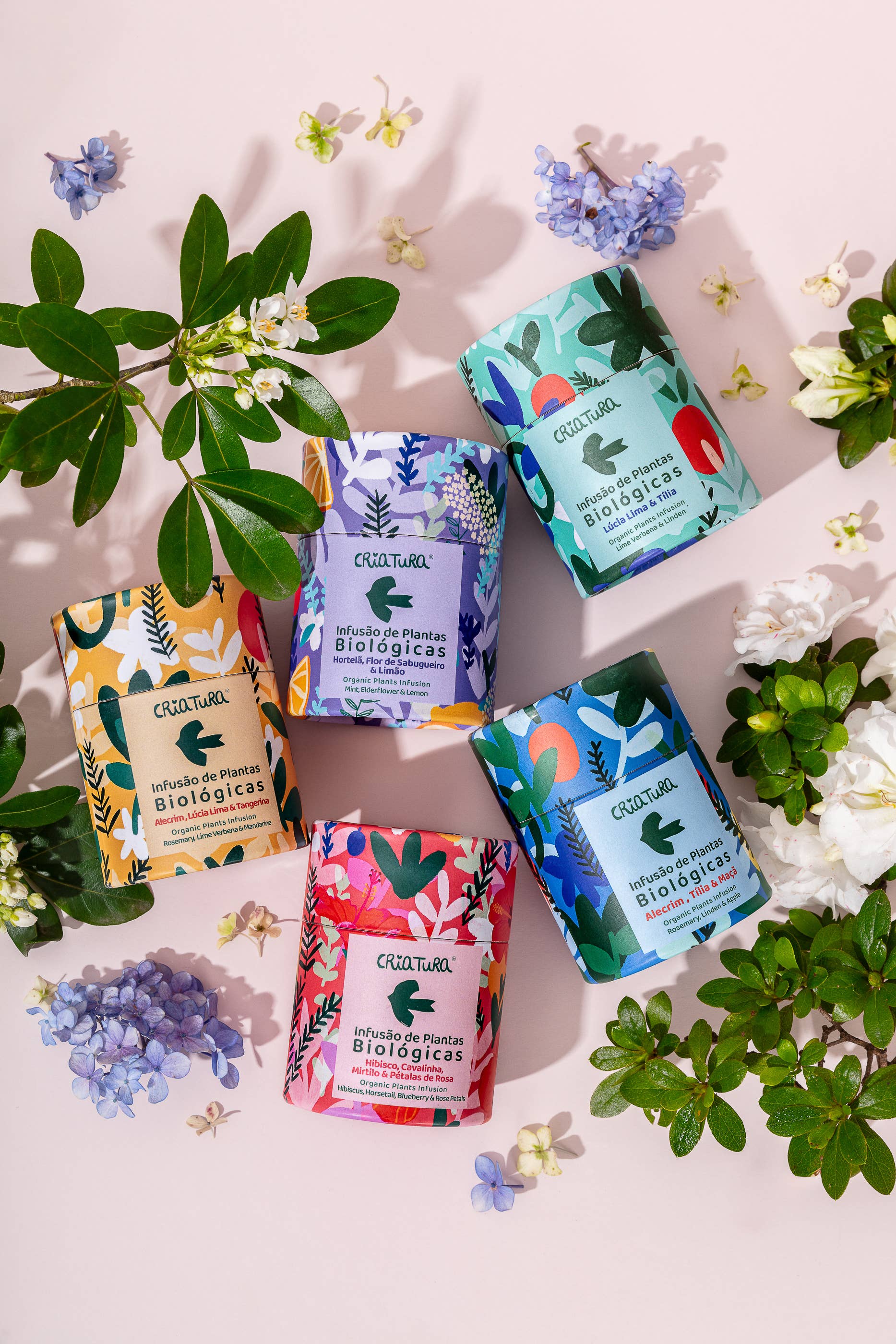 CRIATURA - Venta al por mayor Tés saludables/desintoxicantes - Té Herbal Orgánico - Romero, Tilo y Manzana3