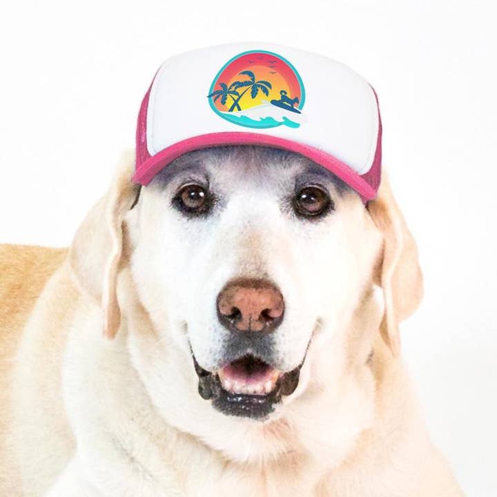 PupLid - Wholesale Pet Hat - Dog - Surfer Dog Standard or Namedrop | Trucker Hat for Dogs24