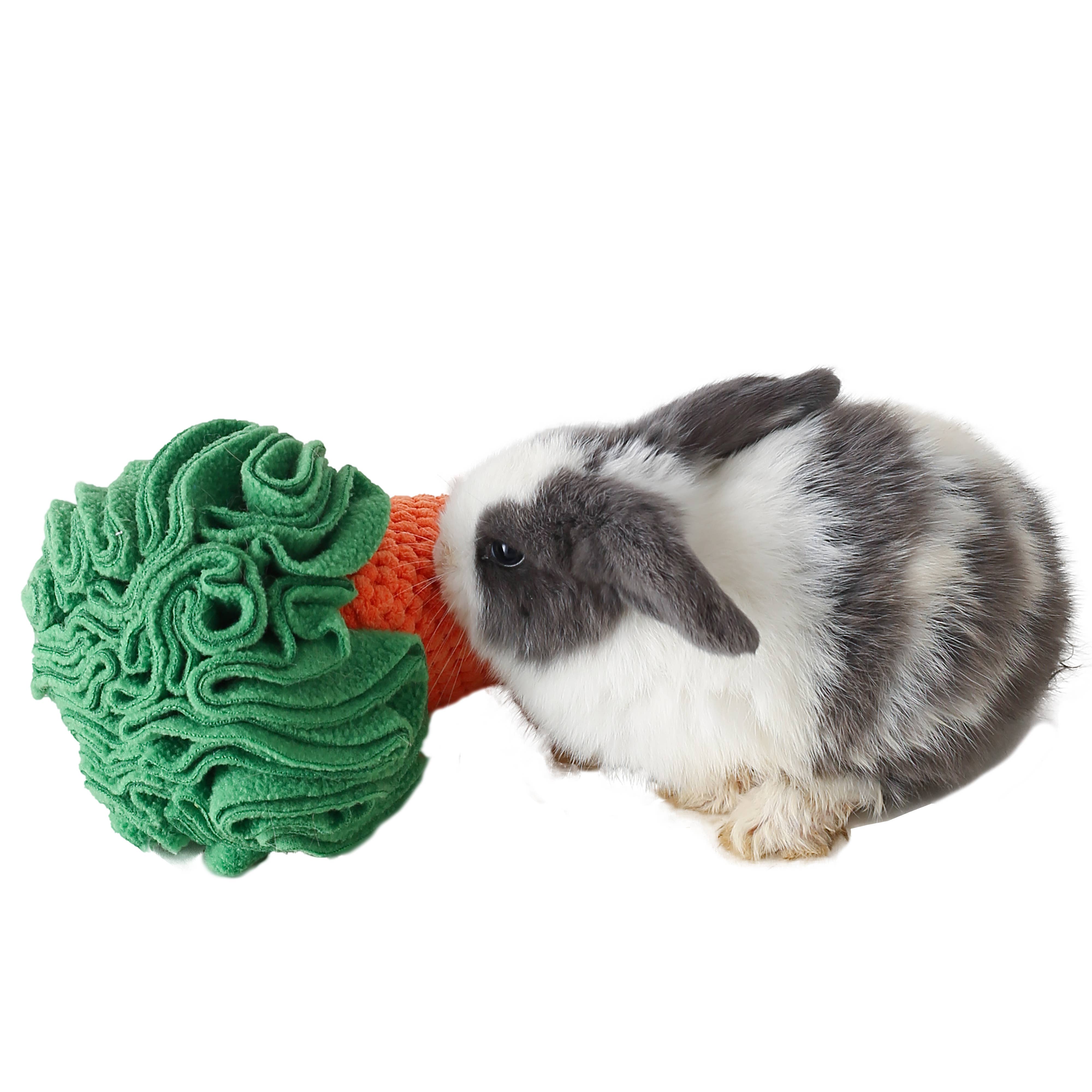 LUFTPETS - Wholesale Pet Plush Toy - Dog - Carrot Snuffle Toy for Dogs, Cats & Small Pets – Squeaky- 9"11