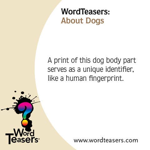 WordTeasers - Wholesale Card Game - About Dogs7