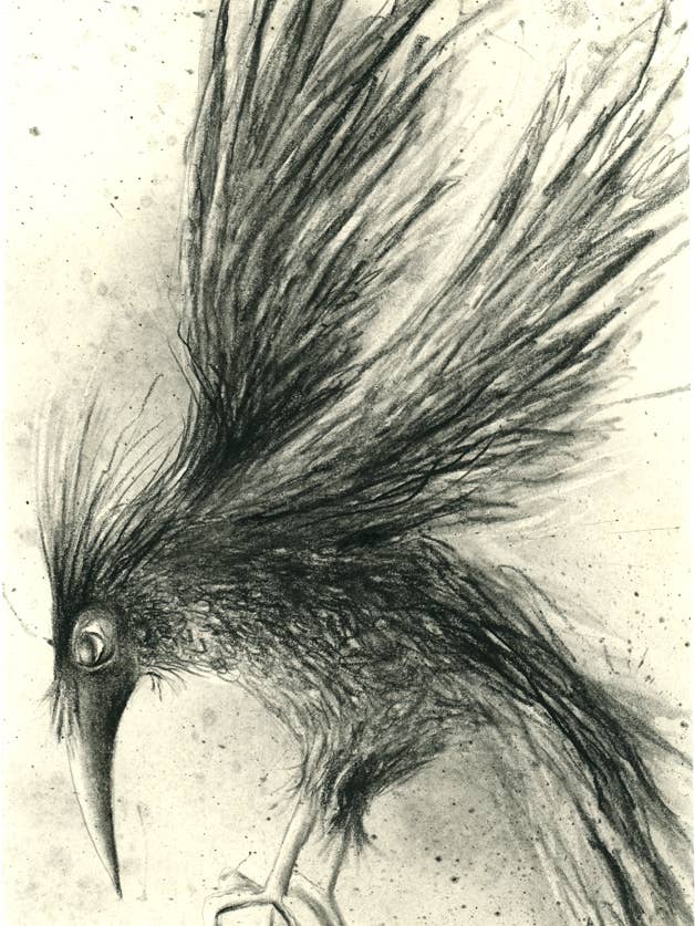 June art print for wholesale by The Rots