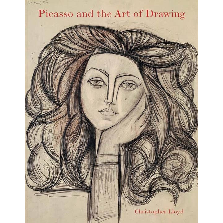 Picasso and the Art of Drawing: for wholesale by W. W. Norton
