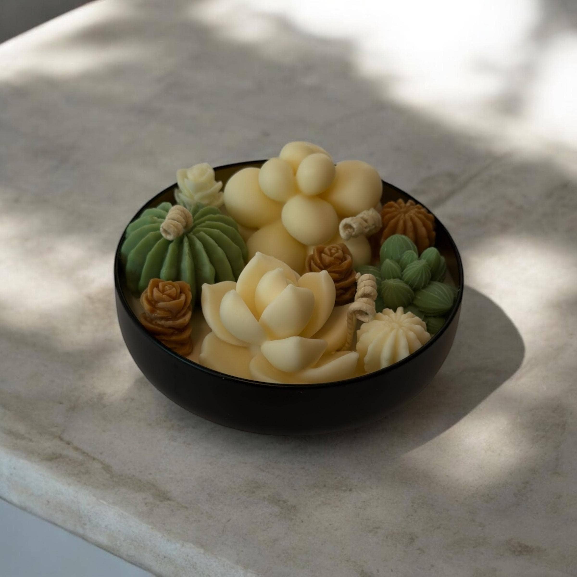 Karly’s Candles – Großhandel Geschenkkerze – Kaktus & Sukkulenten Sojakerze - Geschenk für Pflanzenliebhaber6