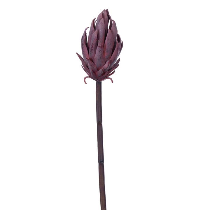 Vickerman 22" Red/Purple Protea Stem 2/Bag for wholesale by Vickerman