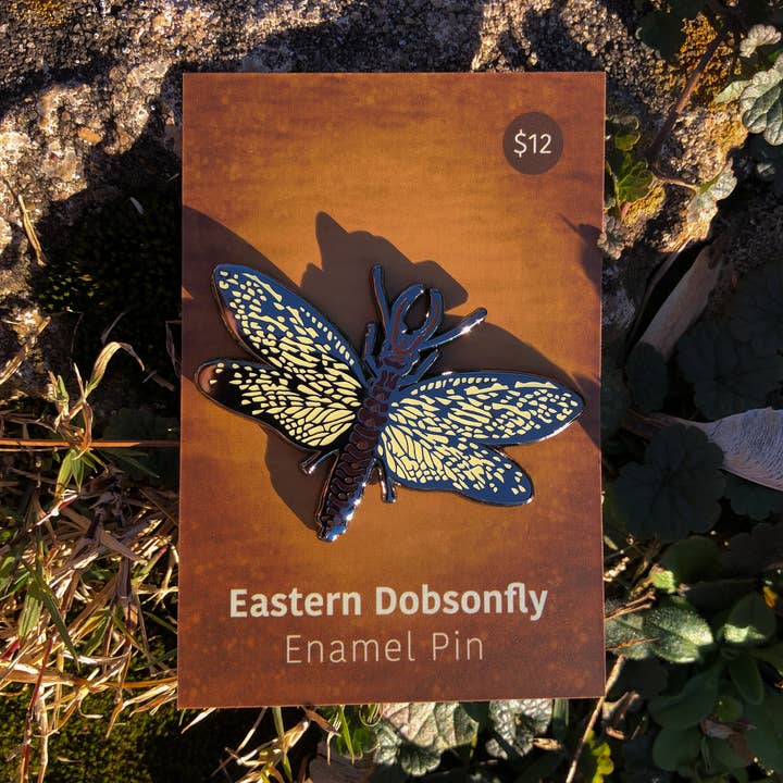 Pin oriental de Dobsonfly para venta al por mayor de Solstice Handmade
