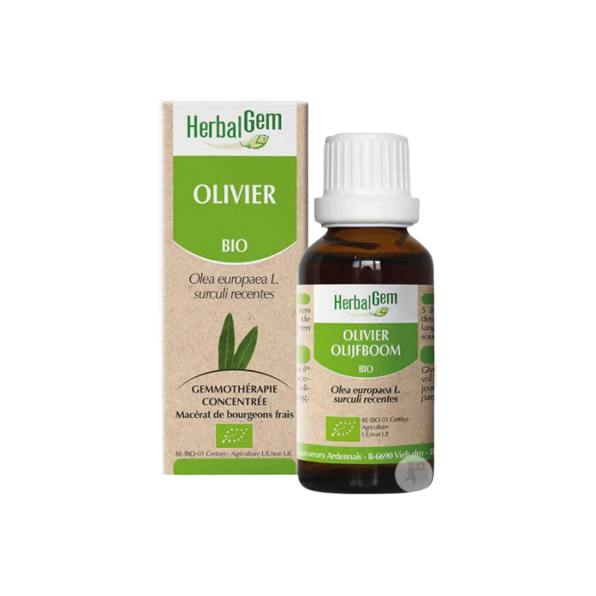 Ecohesens - Wholesale Oral Supplement/Vitamin - ORGANIC OLIVE TREE - 30 ml - HerbalGem0