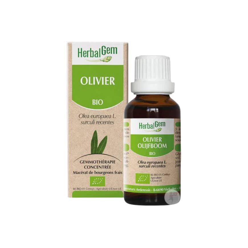 Ecohesens - Wholesale Oral Supplement/Vitamin - ORGANIC OLIVE TREE - 30 ml - HerbalGem